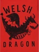 Реглан для мальчика красный Dragon George 92-98см (40005532) - изображение 3