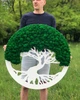 Панно,картина, дерево со стабилизированым мхом А класу MiNature Moss 80 см - изображение 3