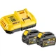 Зарядное устройство для аккумуляторов инструмента DeWALT 18 В, 54 В,8 А, 0.65 кг, 2 аккумулятора (DCB118T2) - изображение 1