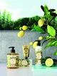 Марсельське рідке мило "Прованс" - Panier des Sens Liquid Marseille Soap 500ml (879439-47441) - изображение 3