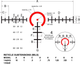 Приціл Burris RT-6 1-6x24 Ballistic AR illum - зображення 3