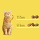 Упаковка сухого корма для стерилизованных кошек Purina Friskies Sterilized с лососем и овощами 270 г x 10 шт. (8445291762794) - изображение 13
