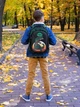 Рюкзак школьный каркасный SkyName 6039 - изображение 5