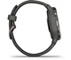 Смарт-часы Garmin Venu 2S Slate Bezel with Graphite Case and Silicone Band (010-02429-10) - изображение 5