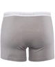 Трусы-боксеры Head Basic Boxer 2-pack ligth S ligth gray 841001001-400 - изображение 4