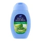 Гель для душа Paglieri Felce Azzurra Мята и лайм 250 мл (8001280038273) - изображение 1