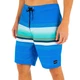 Чоловічі шорти Hurley Pleasure Point 20” у смужку, різнокольорові, розмір 38 - зображення 2