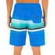 Чоловічі шорти Hurley Pleasure Point 20” у смужку, різнокольорові, розмір 38 - зображення 3