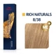 Краска для волос Wella Koleston 8/38 Светлый блонд золотисто-жемчужный 60 мл - изображение 1