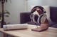 Навушники накладні Beyerdynamic DT990 Edition Сірий mini jack 3.5 мм + 6.35 мм - зображення 7
