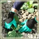 Перчатки садовые с когтями Garden Gloves для сада и огорода (375 V) - изображение 7