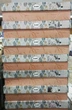 Постельное белье Clasy фланель 160*220 Manila, Турция Код 8793 - зображення 2