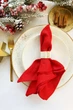Лляні серветки TouchableLinen 1 шт Червоний Серветки для сервірування столу 50х50 см - зображення 5