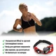 Сумка-пояс для бігу Sport2People Running Belt Burgundy Red (світловідбиваюча, вологостійка) - зображення 2
