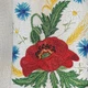 Сорочка з вишивкою дитяча Мальви ВДЛ-0116 152 см Біла (ROZ6400162413) - изображение 3