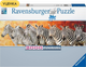 Пазл Ravensburger Panorama Зебри 2000 елементів - зображення 2