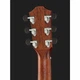 Гітара Baton Rouge AR21C/A - изображение 6
