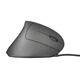 Мышка Trust Verto Ergonomic (22885) - изображение 3