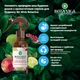Освіжувач повітря Air Wick Botanica Соковитий гранат та італійський бергамот 237 мл (4640018994708) - зображення 2