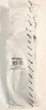 ТЭН для стиральной машины Ardo 1950W загнутый дважды C00273279 - изображение 6