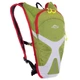 Рюкзак спортивный SP-Sport Local Lion Action LK409 объем 5л Green-White-Red - изображение 1