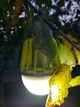 Фонарь уничтожитель комаров Ranger Easy light (Арт. RA 9933) - изображение 8