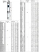 Насос для скважин Pedrollo 4SR2m/20-PD (4940220WLA1) - изображение 4