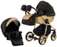 Коляска 2 в 1 Adamex Hybryd Plus Polar (Gold) BR619 черный (золотой люрекс) - золотая кожа - изображение 1