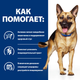 Сухой корм для собак Hill's PRESCRIPTION DIET Gastrointestinal Biome при расстройствах пищеварения с курицей 10 кг - изображение 4