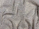 Ткань Трикотаж люрекс с пайетка гофре, серебро на бежевом, пог. м. (д66, 18052, цв10) - изображение 3