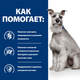 Сухой корм Hill's Prescription Diet i/d Low Fat Digestive Care для собак с курицей 1.5 кг - изображение 4