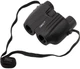 Бинокль Comet Pro Pocket LR-082B 10х25 Черный, в чехле (LR082B) - изображение 8