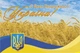 Набор патриотических открыток Apriori 8 шт, 10 на 15 см, "З Днем Незалежності України", 6 вид - изображение 5
