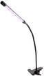 Фітолампа для рослин Brille LED-36/7W Fito GROW RM (L137-018) - зображення 2