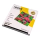 Весы напольные Rotex Flamingo RSB06-P 150 кг 2022334 - изображение 3