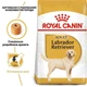 Сухой корм Royal Canin (Роял Канин) Labrador Retriever Adult для взрослых собак породы Лабрадор-Ретривер, 10 кг - изображение 4