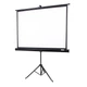 Экран для проектора на штативе OVERMAX TRIPOD SCREEN 60 - изображение 1