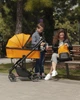 Коляска дитяча універсальна коляска 2в1 CARRELLO Alfa CRL-6507 Sunrise Orange Помаранчевий - зображення 5
