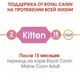 Сухой корм для котят Royal Canin Maine Coon Kitten, 4 кг - изображение 6