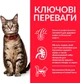 Сухий корм для дорослих кішок Hill's Science Plan Adult з куркою 15 кг - зображення 3