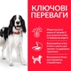 Сухий корм для дорослих собак середніх порід Hill's Science Plan Adult Medium Breed з ягнятком та рисом 14 кг - зображення 3
