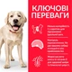Сухий корм для схильних до зайвої ваги дорослих собак великих порід Hill's Science Plan Adult Light Large Breed з куркою 14кг - зображення 2
