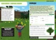 Minecraft Англійська мова. Офіційний посібник. 9-10 років - Джон Гоулдінг та Ден Вайтгед (9789661545686) - изображение 5