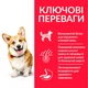 Сухий корм Hill’s SP Adult Small&Mini для дорослих собак малих і мініатюрних порід з куркою 3 кг - изображение 2