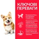 Сухий корм Hill’s SP Adult Small&Mini для дорослих собак малих і міні порід з ягням і рисом 6 кг - изображение 2