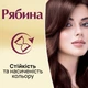 Крем-фарба "ЕКМІ-КОЛОР" Рябина "AVENA" №131 Мідний шик - изображение 6