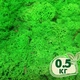 Стабилизированный мох ягель Nordic moss Зеленый травяной светлый 0,5 кг - изображение 1