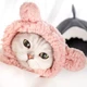 Шапка с ушками для кошек и собак Pink Pet Weight 2-4.5 kg - изображение 1