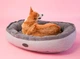 Лежак Harley and Cho Donut XL 110 x 80 см Gray (3102863HC) - изображение 9