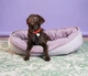 Лежак Harley and Cho Donut XL 110 x 80 см Pink (3102867HC) - изображение 5